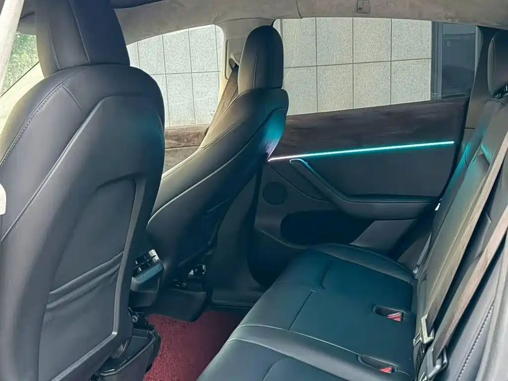 Tesla Model Y — миниатюра 6