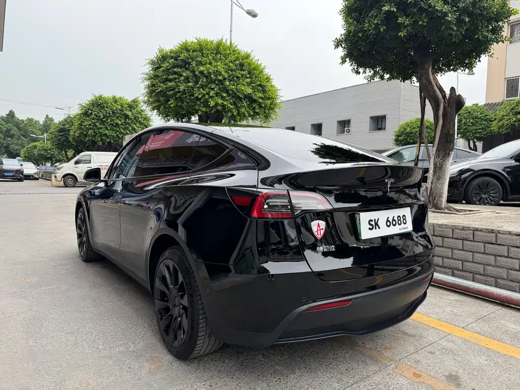 Tesla Model Y — миниатюра 6