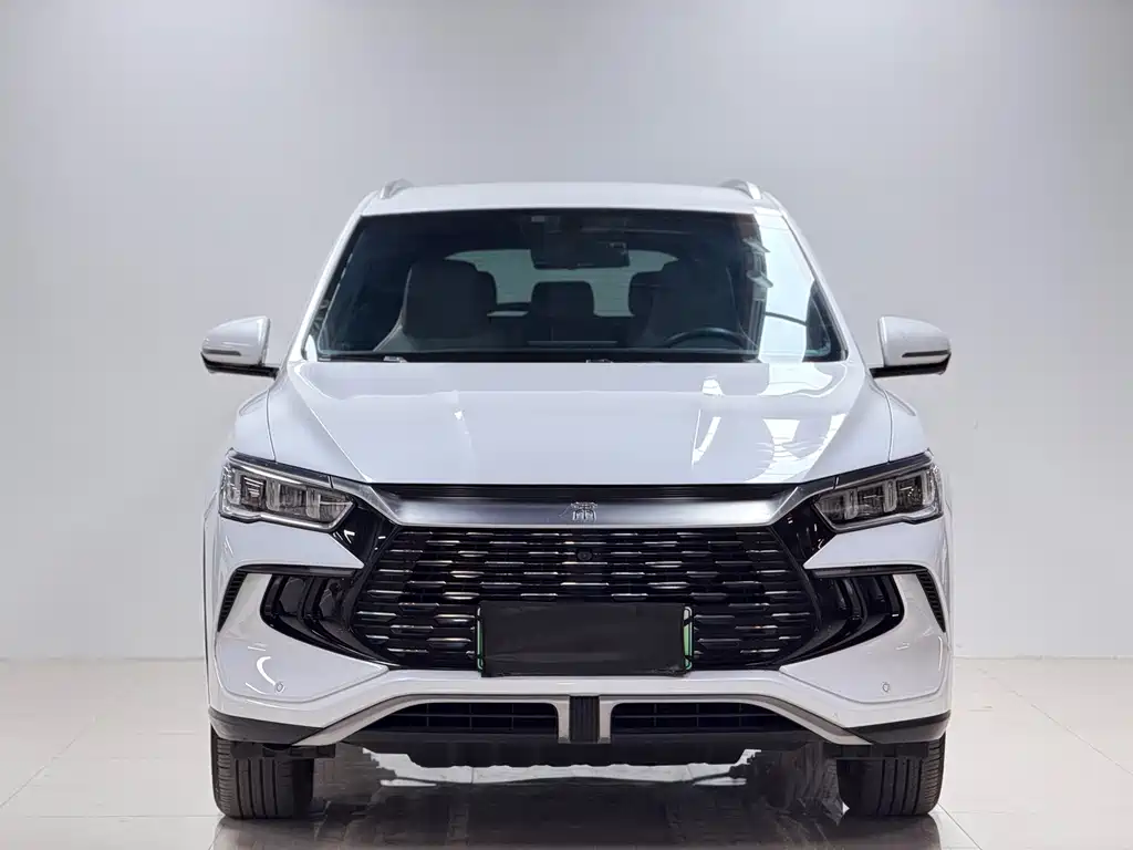 BYD Pro New Energy — миниатюра 3