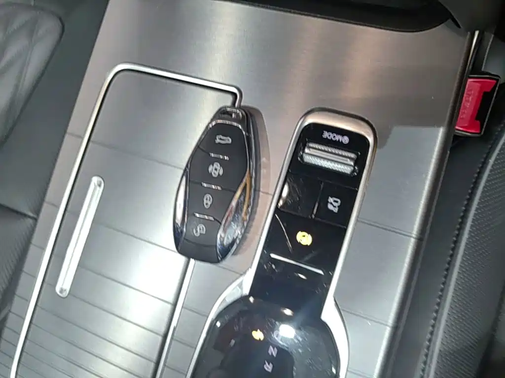 Hongqi Hongqi HS7 — миниатюра 13