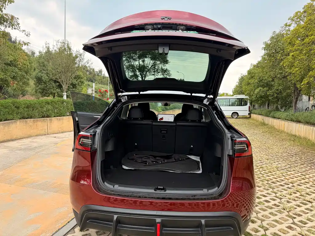 Tesla Model Y — миниатюра 24