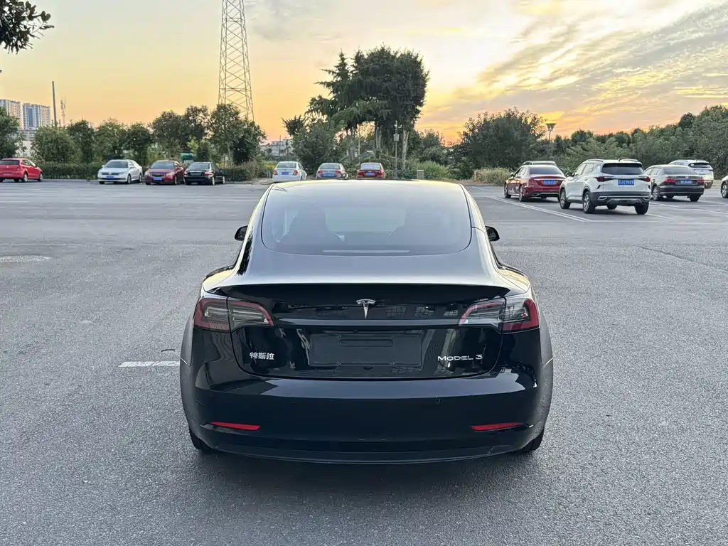 Tesla Model 3 — миниатюра 7