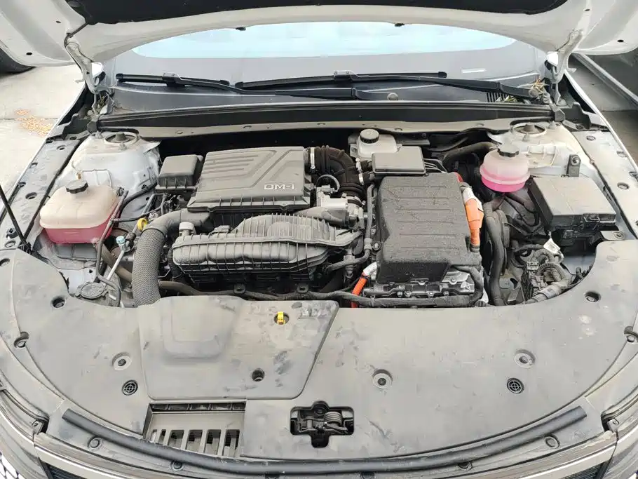 BYD Destroyer 05 2023 Champion DM-i 55KM Luxury