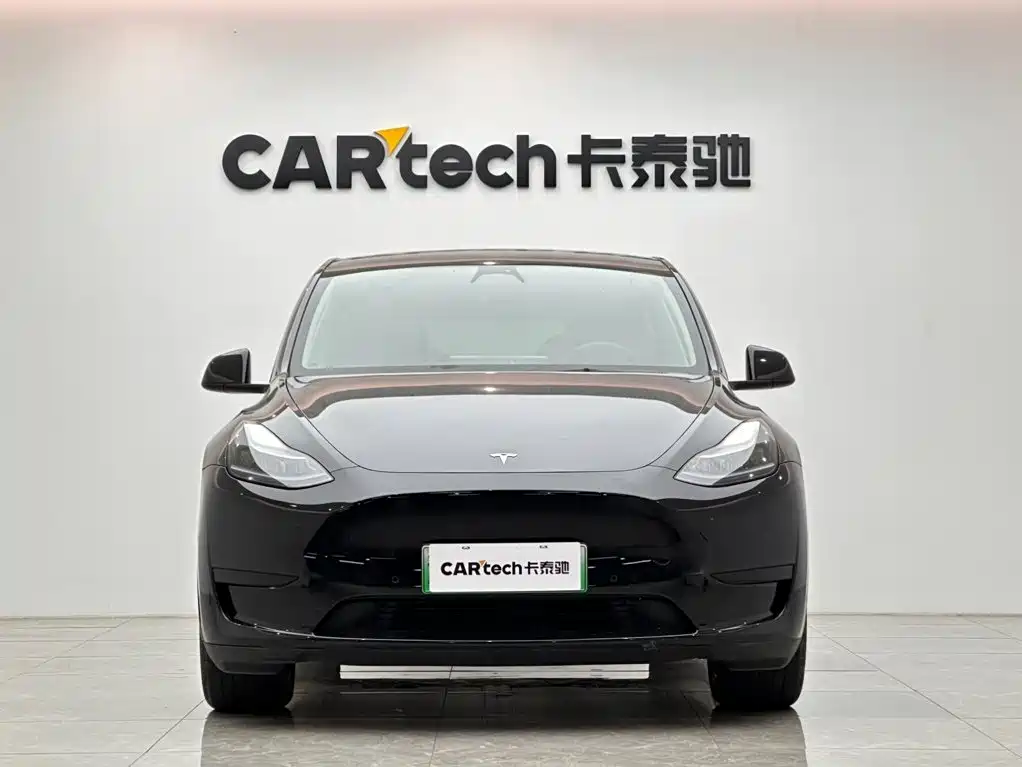 Tesla Model Y — миниатюра 7