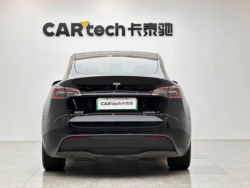Tesla Model Y — миниатюра 4
