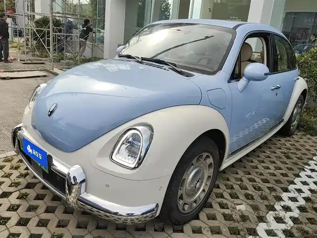 EULER BALLET CAT 2023