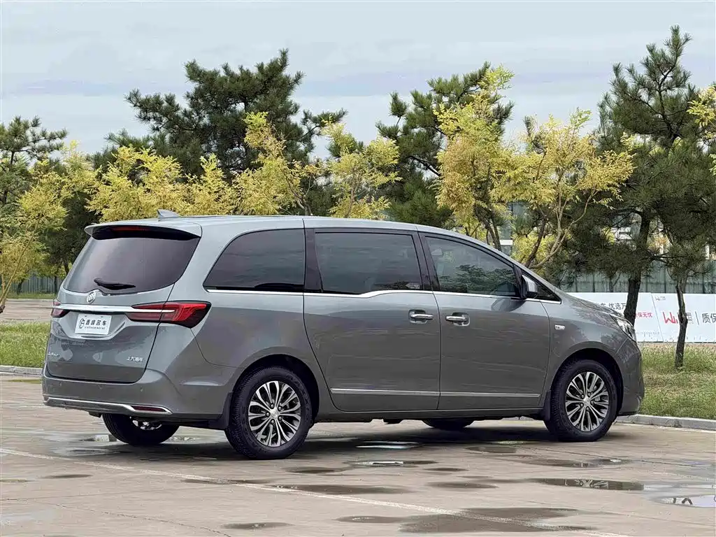 Buick GL8 — миниатюра 27
