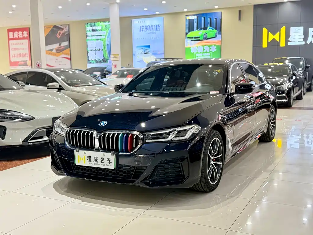 BMW 5 Series New Energy 2021