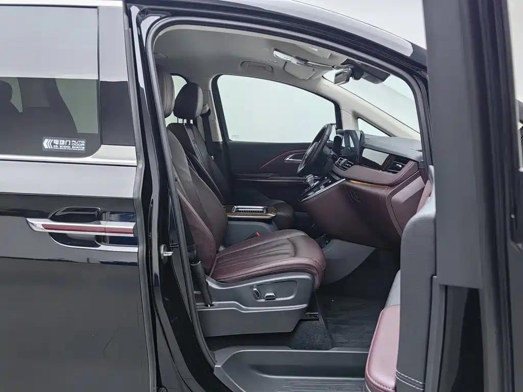 Hongqi Hongqi HQ9 — миниатюра 23