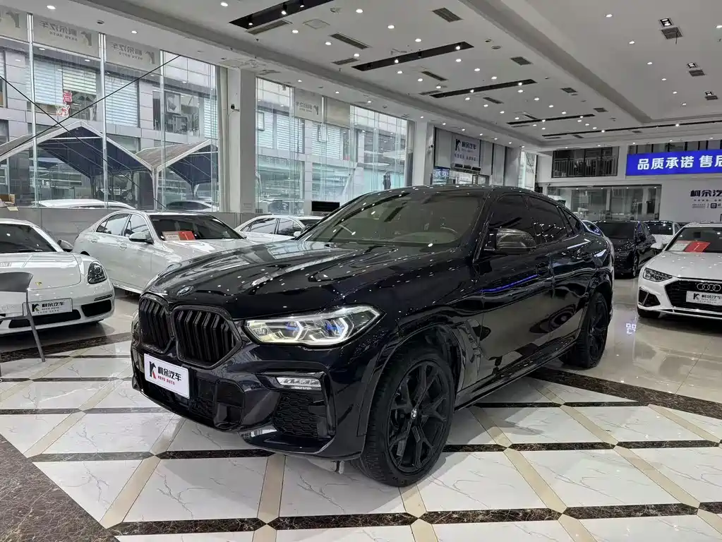 BMW X6 — миниатюра 2