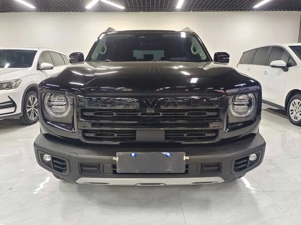 HAVAL BIG DOG