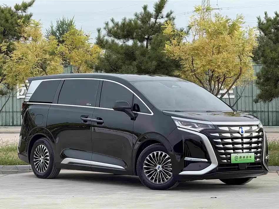 Denza Denza D9 — миниатюра 3