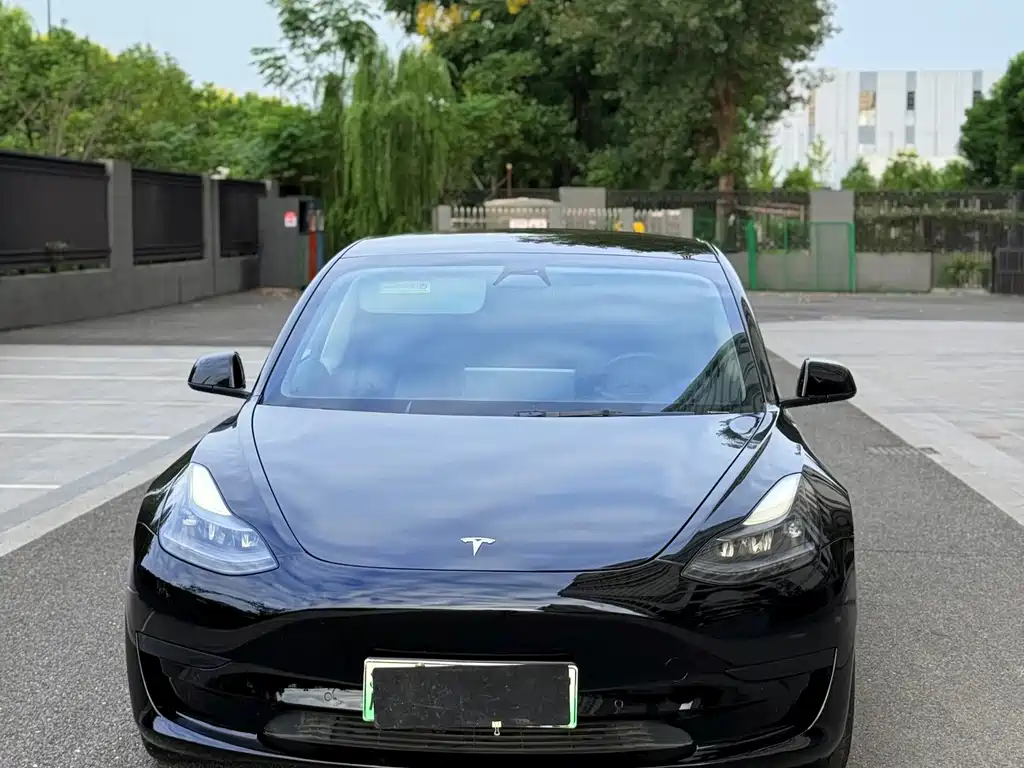 Tesla Model 3 — миниатюра 5