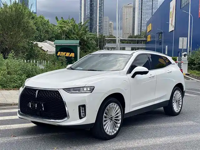 WEI PAI WEI BRAND P8 2018