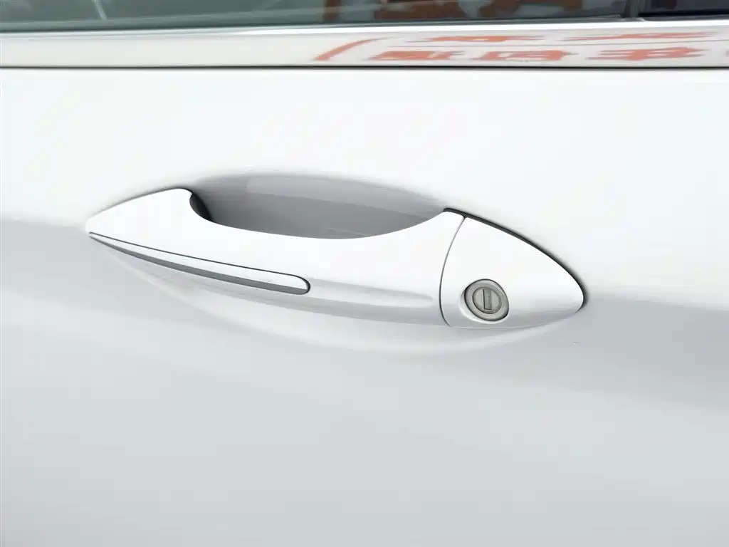 GEELY AUTOMOBILE BORUI