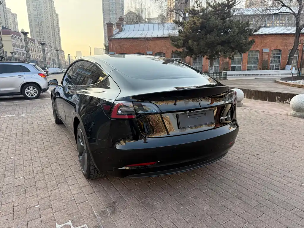 Tesla Model 3 — миниатюра 9