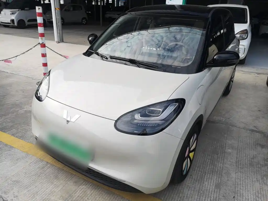 Wuling Bingo