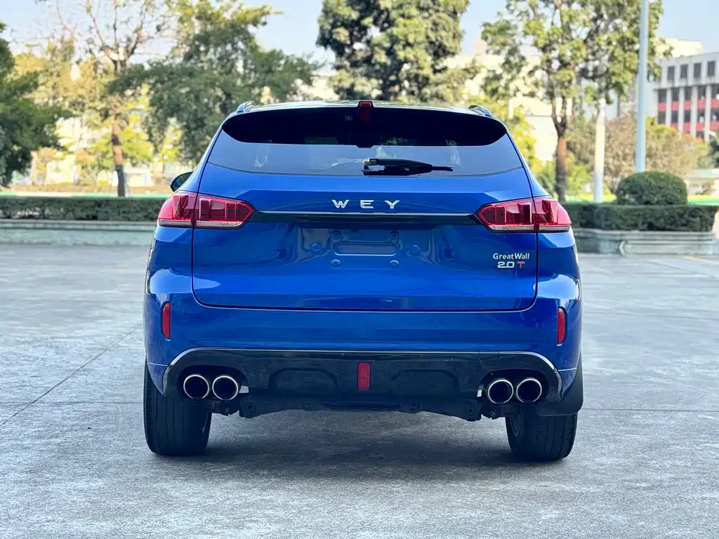 WEI PAI WEI BRAND VV5