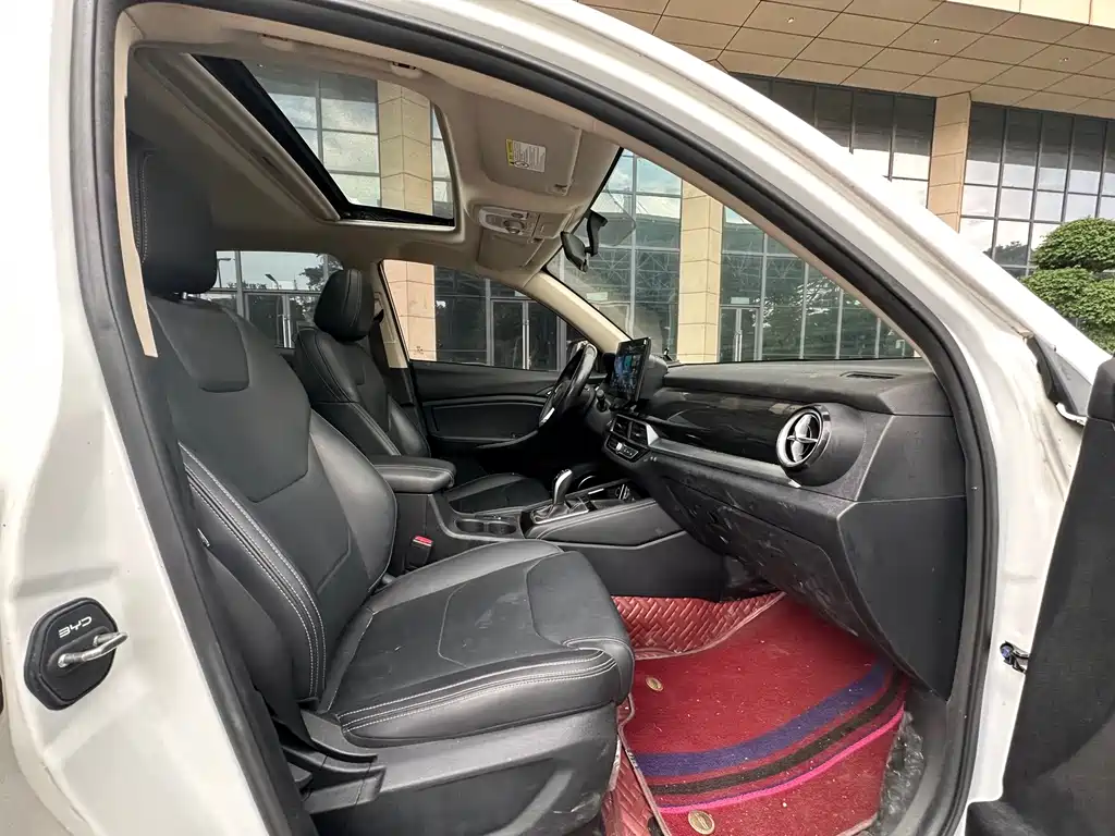 BYD Song — миниатюра 14