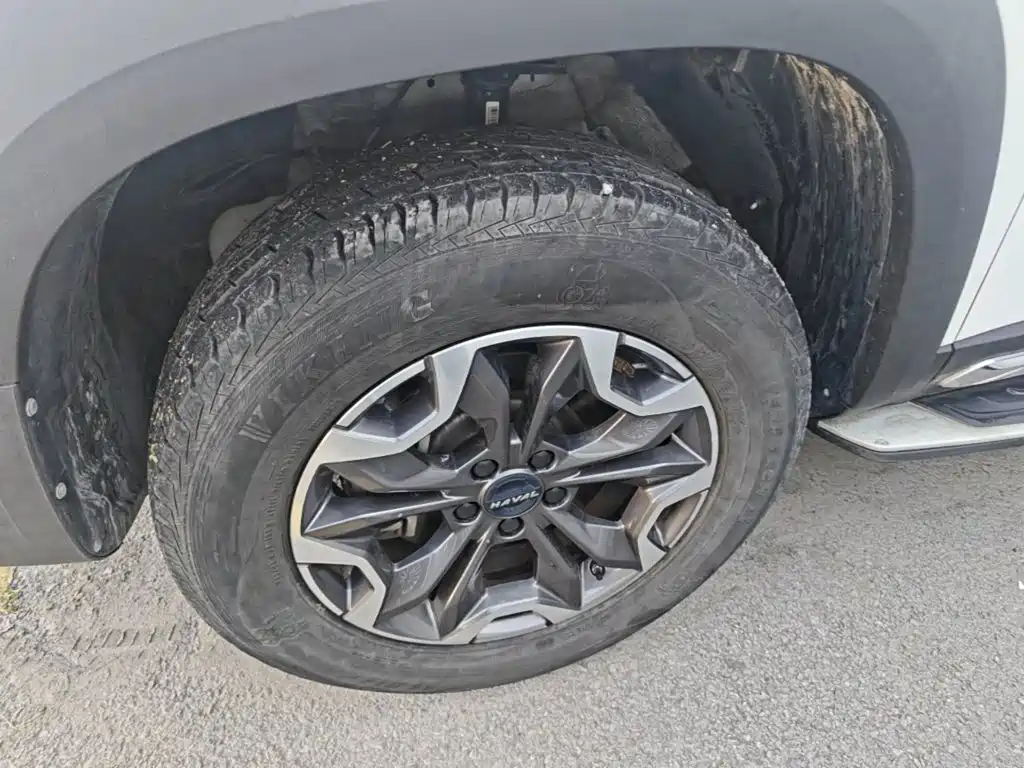 Haval Big Dog — миниатюра 23