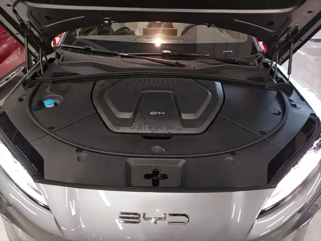 BYD PLUS New Energy — миниатюра 20