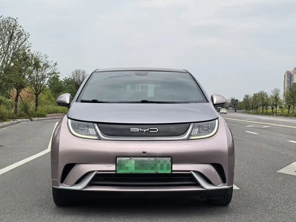 BYD Dolphin — миниатюра 2