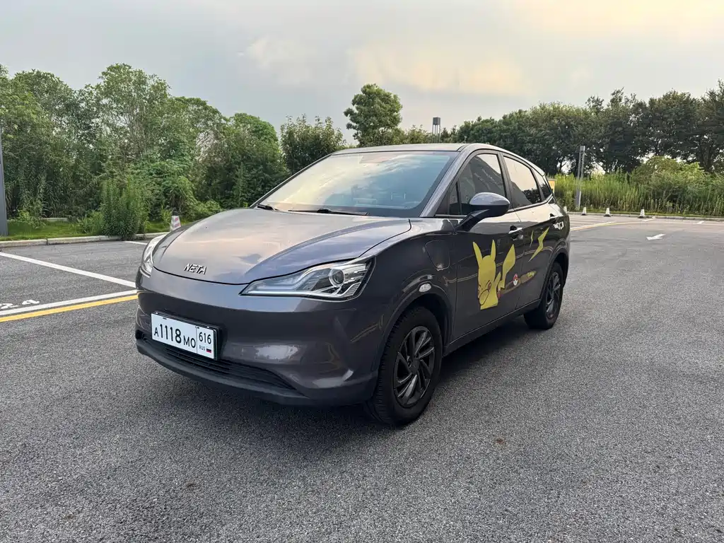 Neta Neta V