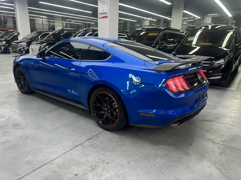 Ford Mustang — миниатюра 13