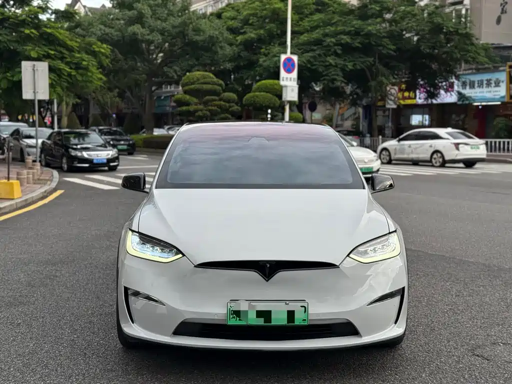 Tesla Model X — миниатюра 2