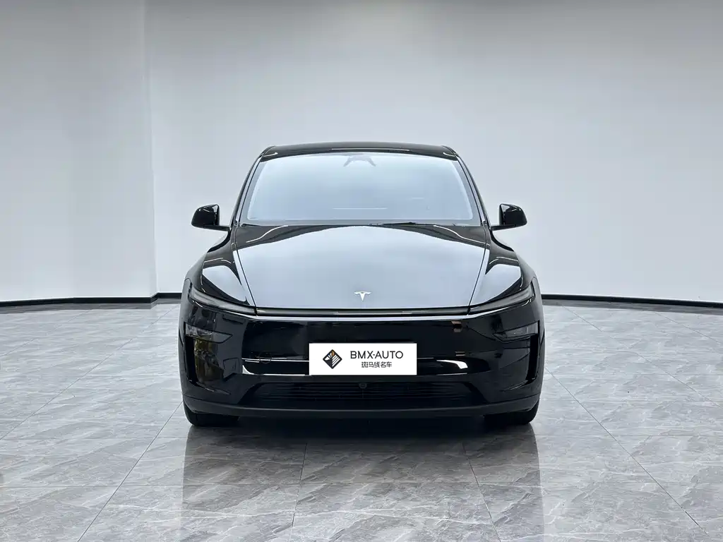 Tesla Model Y — миниатюра 4
