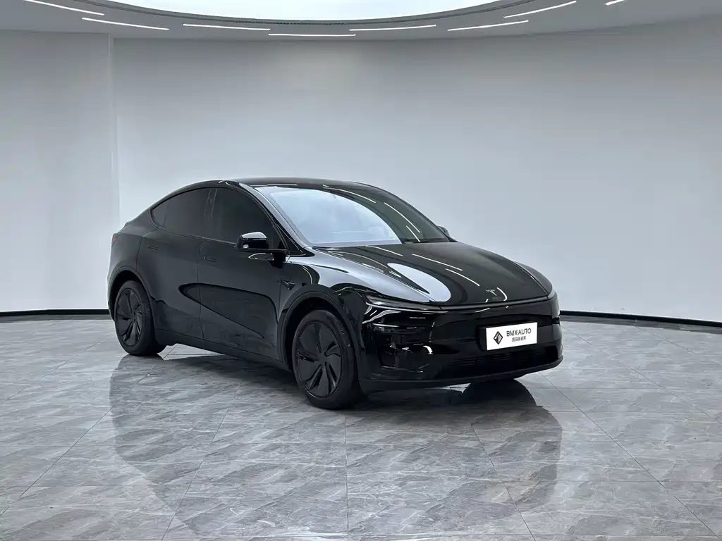 Tesla Model Y — миниатюра 7