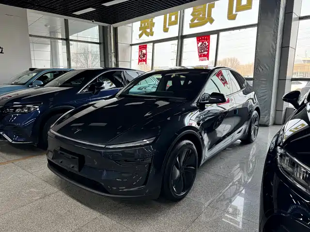 TESLA MODEL Y 2025