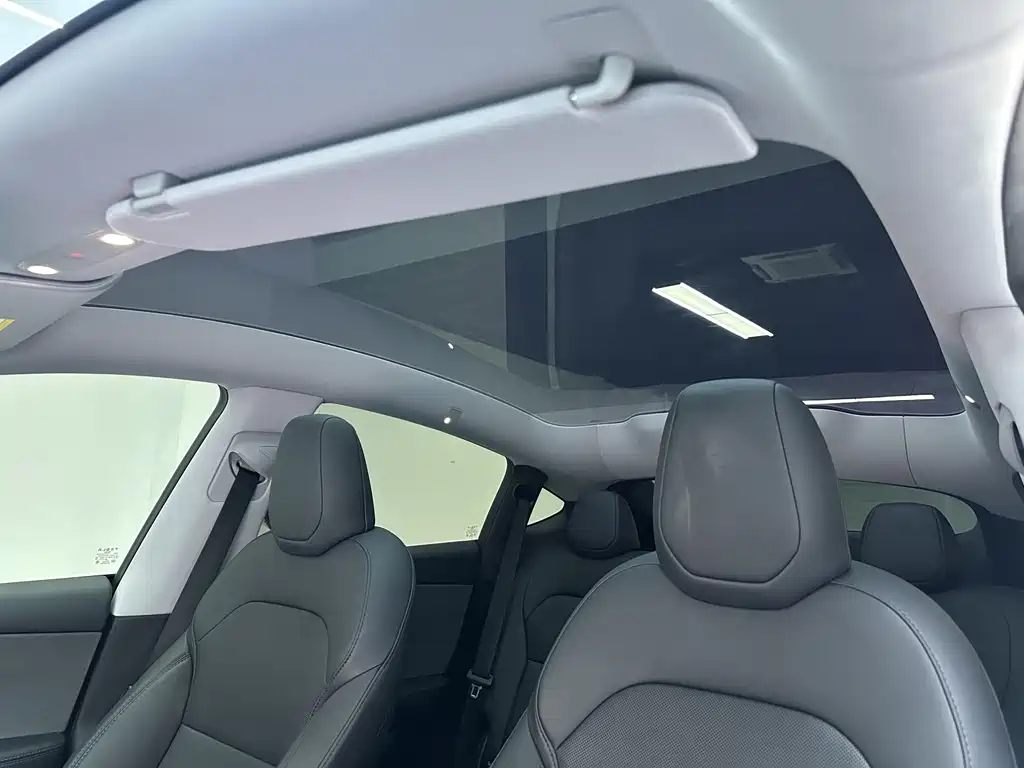 Tesla Model Y — миниатюра 19