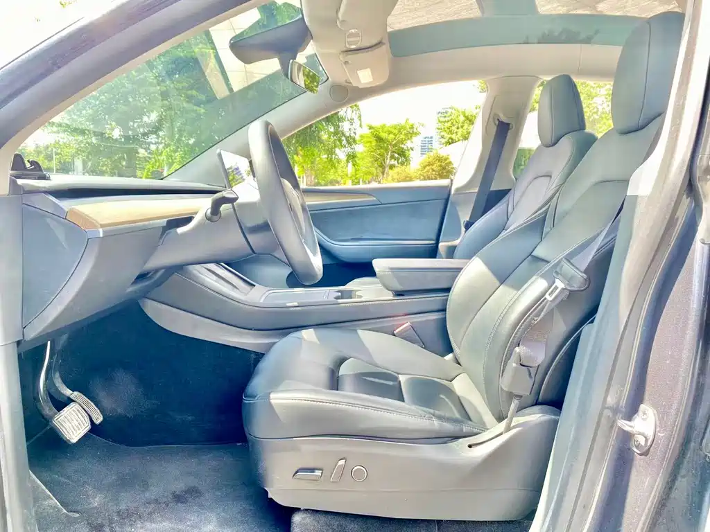 Tesla Model Y — миниатюра 4