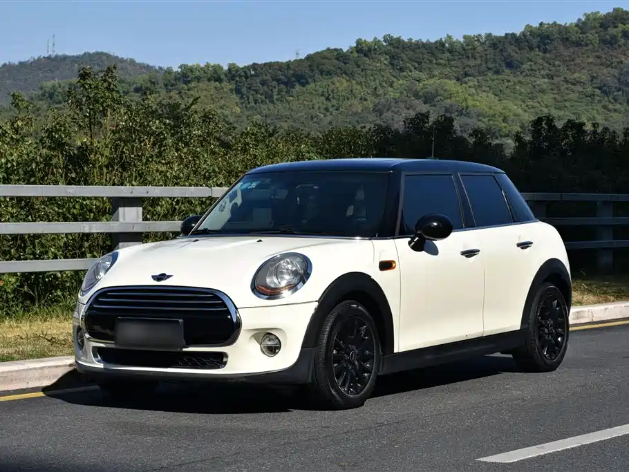 Mini Mini 2018