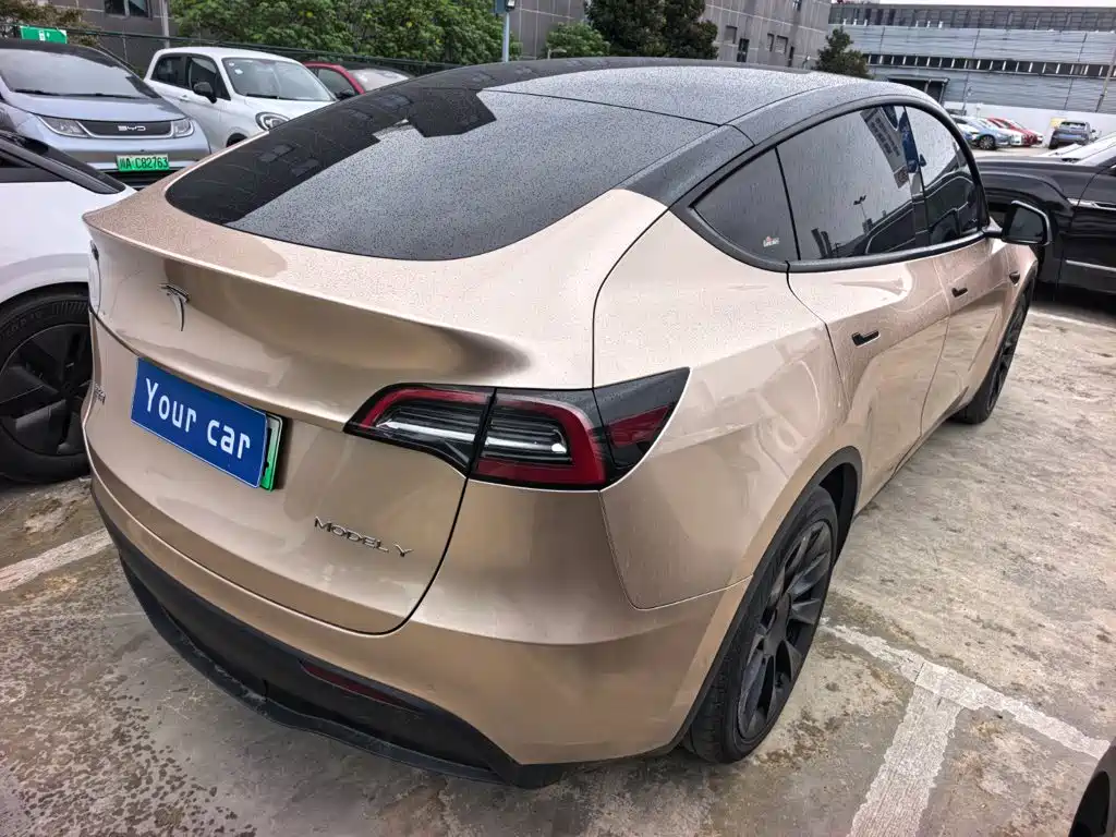 Tesla Model Y — миниатюра 6