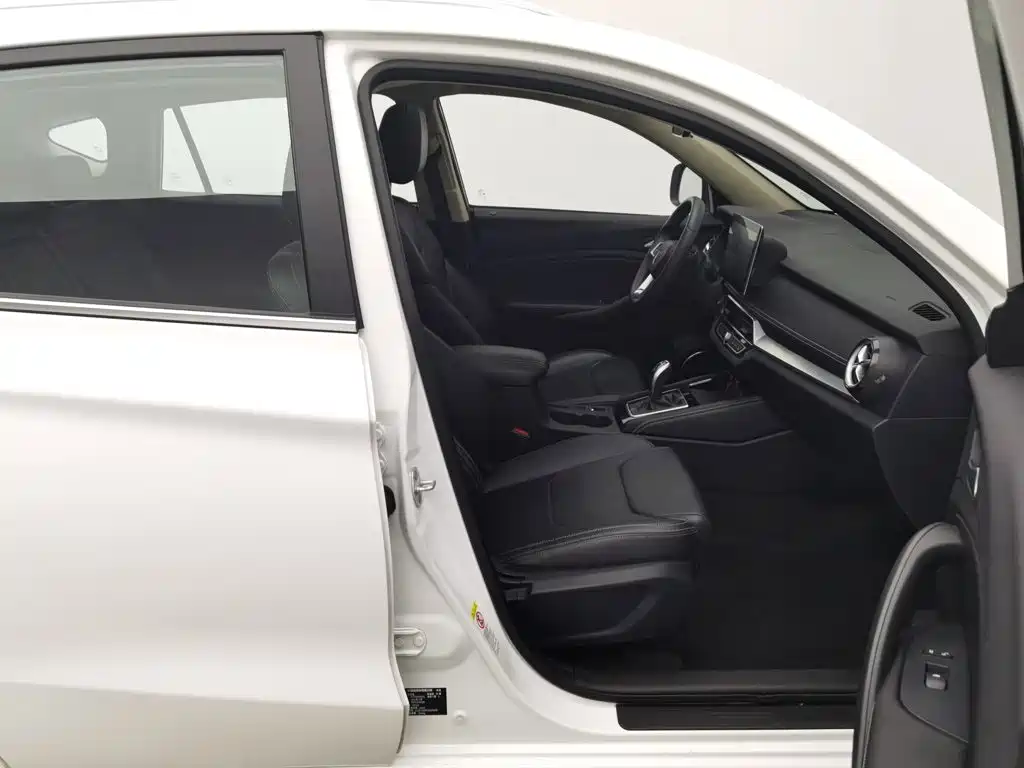 BYD Song — миниатюра 23