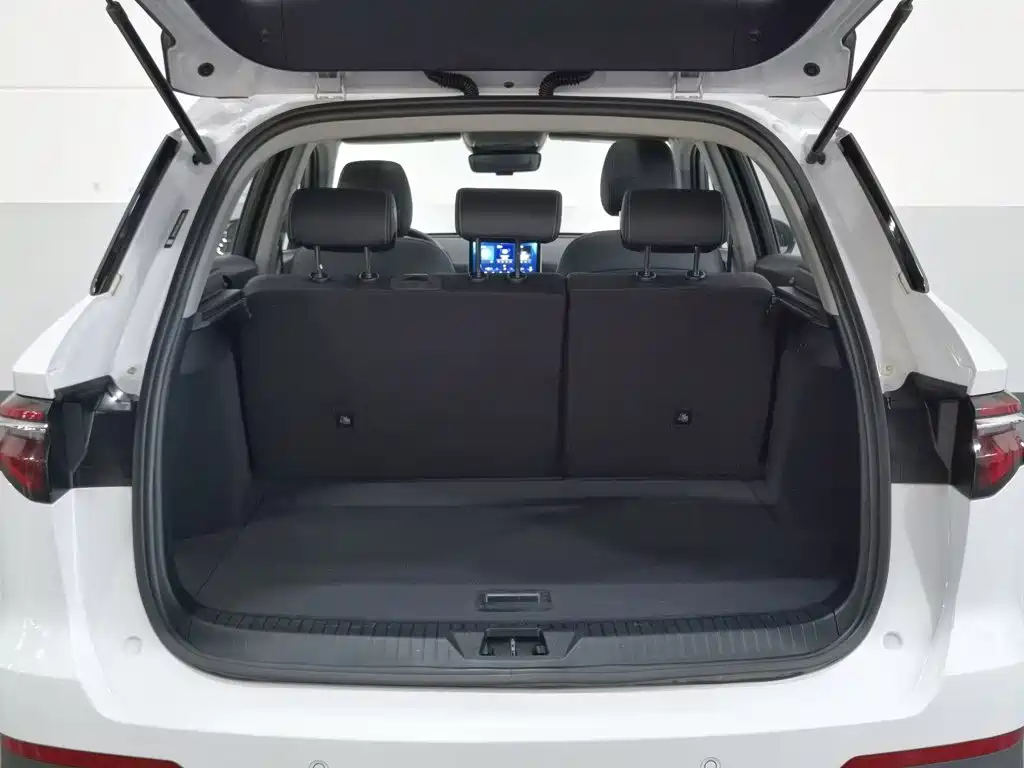 BYD Pro — миниатюра 16