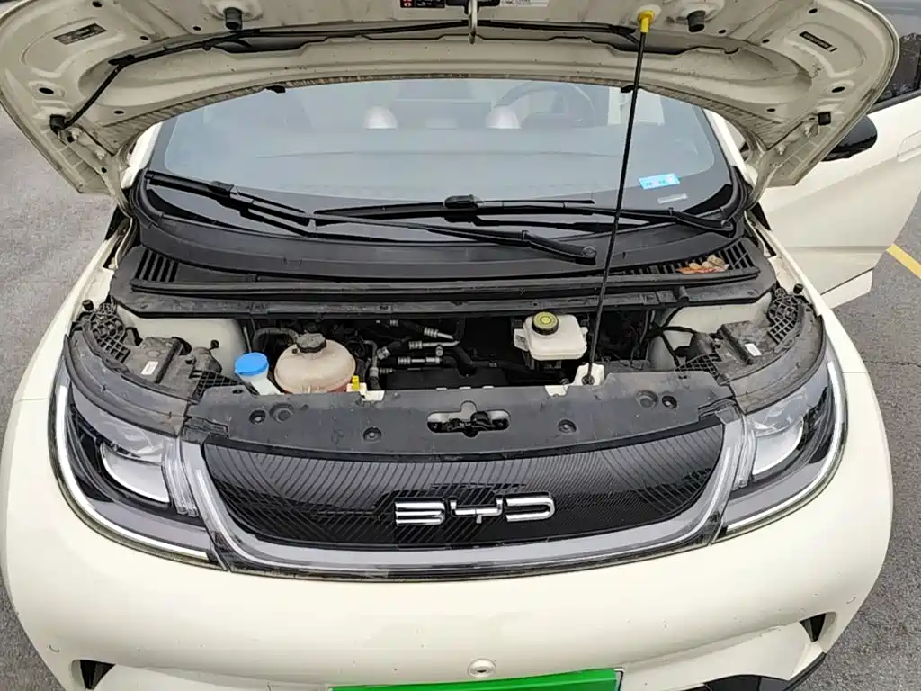 BYD Dolphin — миниатюра 20