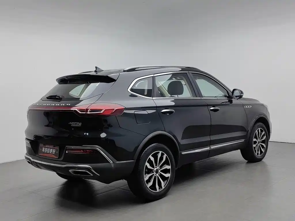 Leopaard Mattu — миниатюра 2