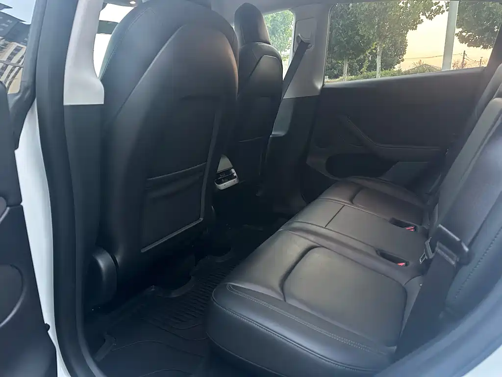 Tesla Model Y — миниатюра 5