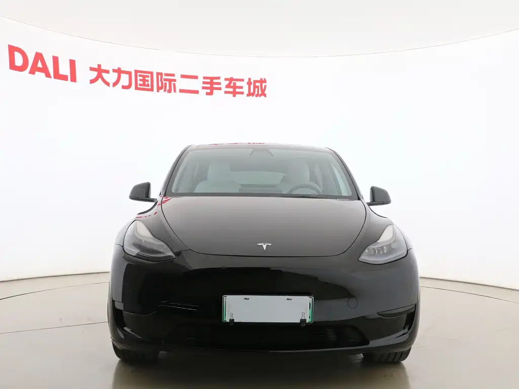 Tesla Model Y — миниатюра 2
