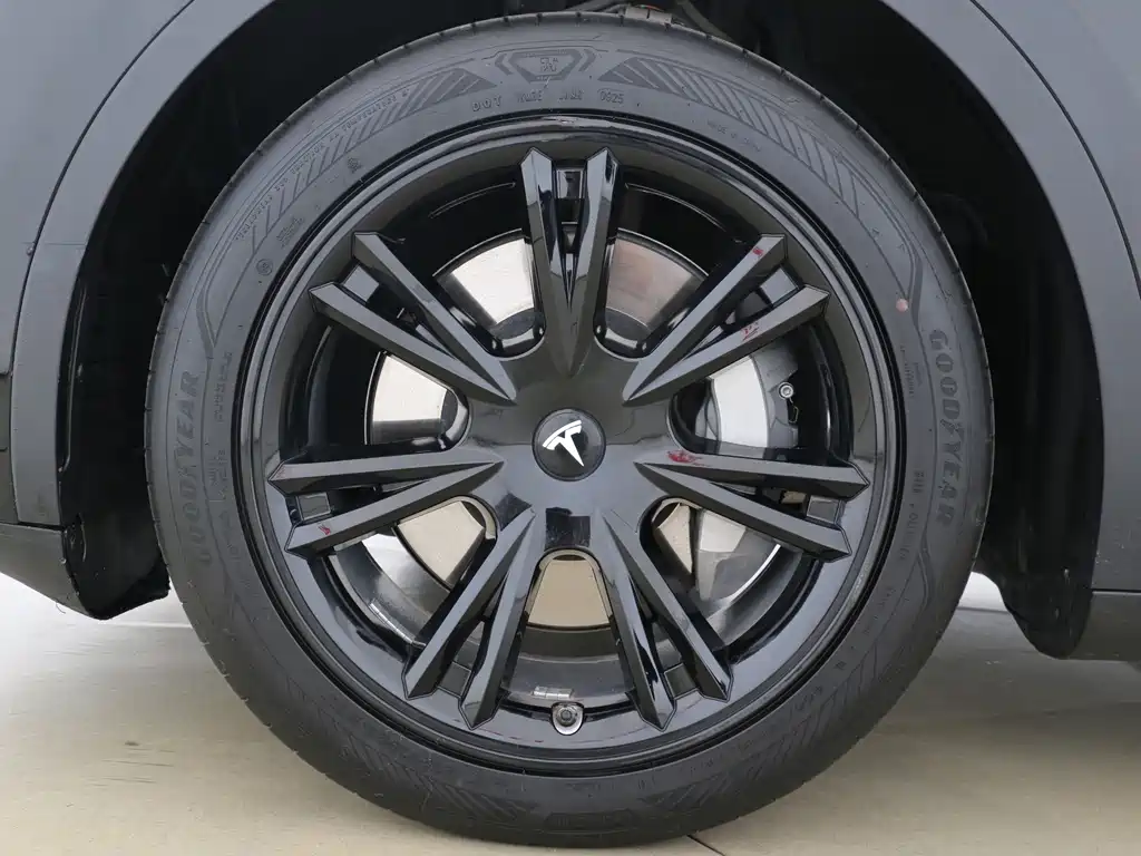 Tesla Model Y — миниатюра 15