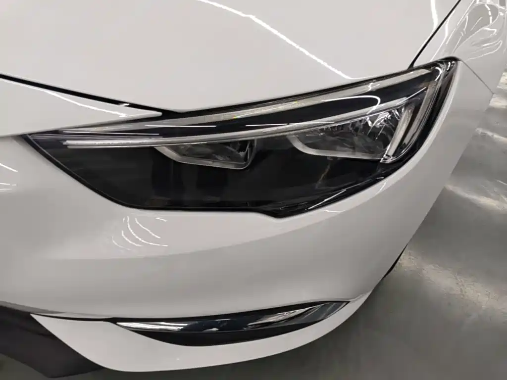 Buick Regal — миниатюра 24