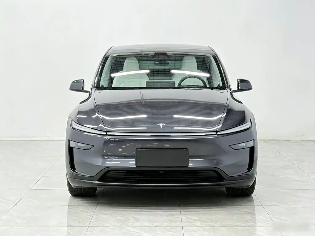 Tesla Model Y — миниатюра 3