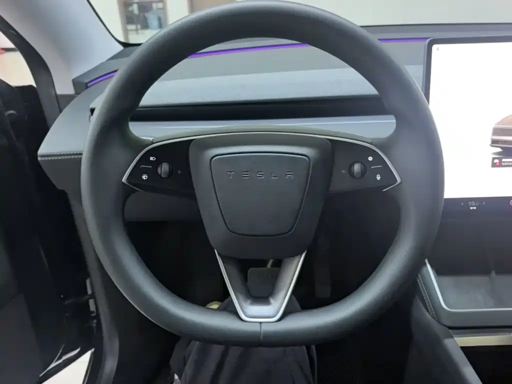 Tesla Model Y — миниатюра 11