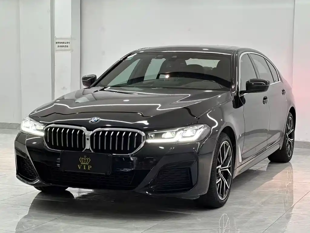 BMW 5 Series — миниатюра 3