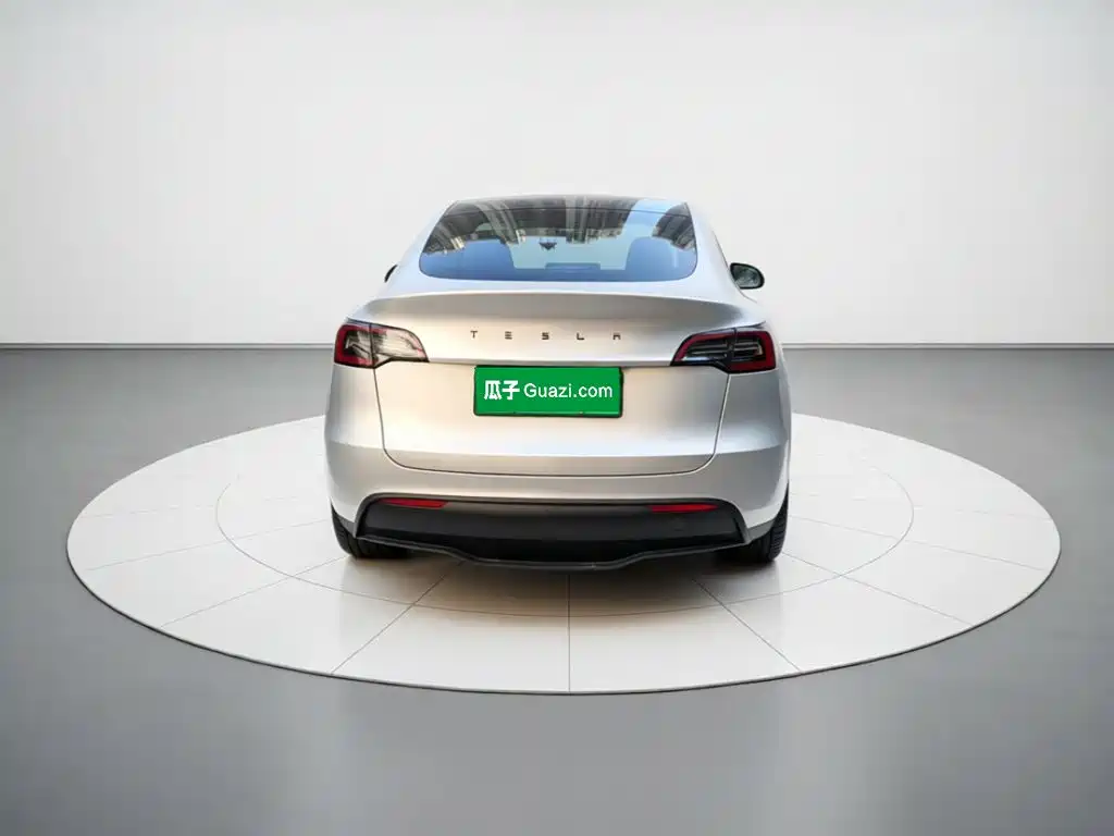 Tesla Model Y — миниатюра 3