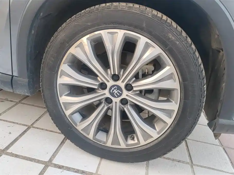 BYD SONGJIANG NEW ENERGY