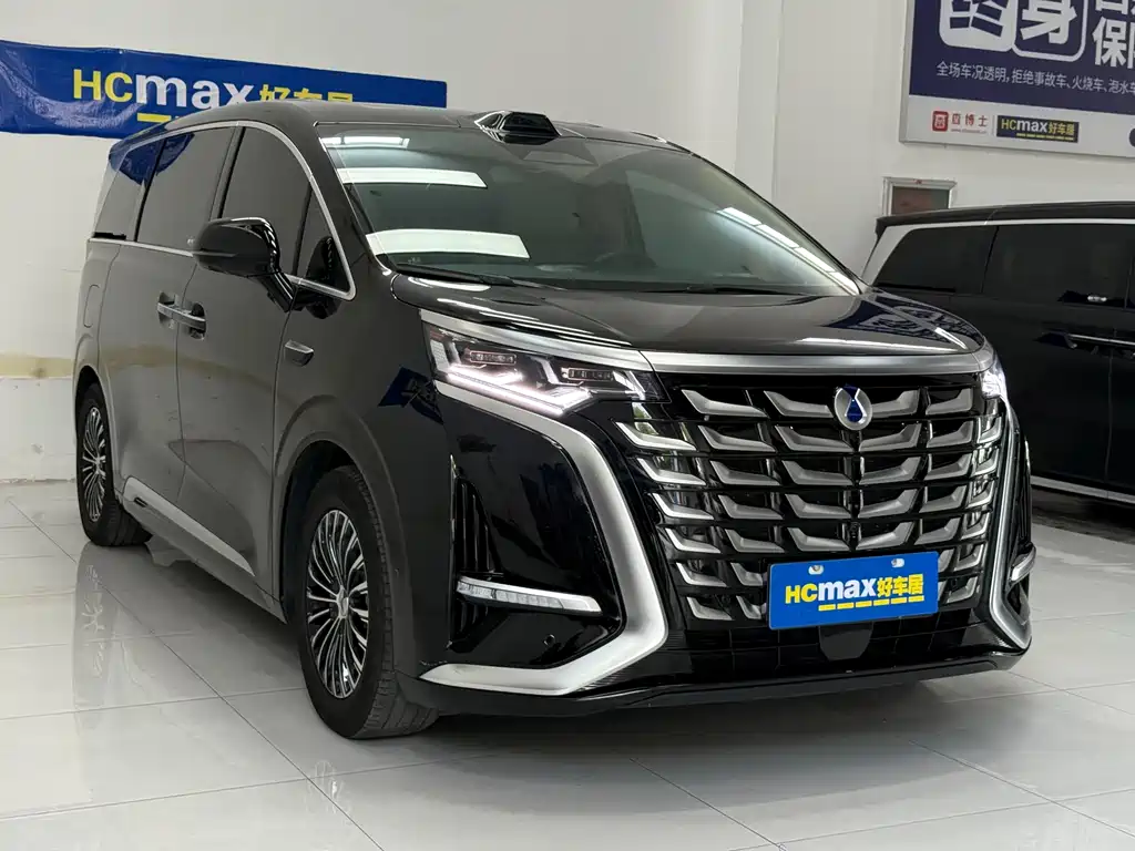 Denza Denza D9 — миниатюра 3
